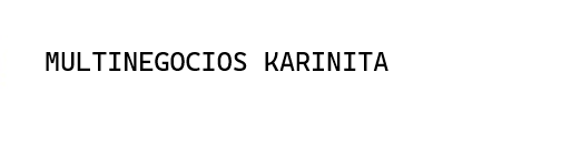 Multinegocios Karinita